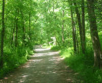 Image of trail