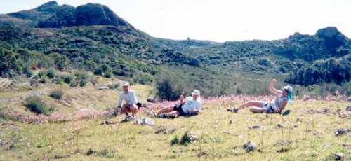 Three among the poppies
